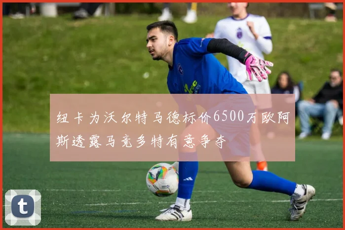 纽卡为沃尔特马德标价6500万欧阿斯透露马竞多特有意争夺